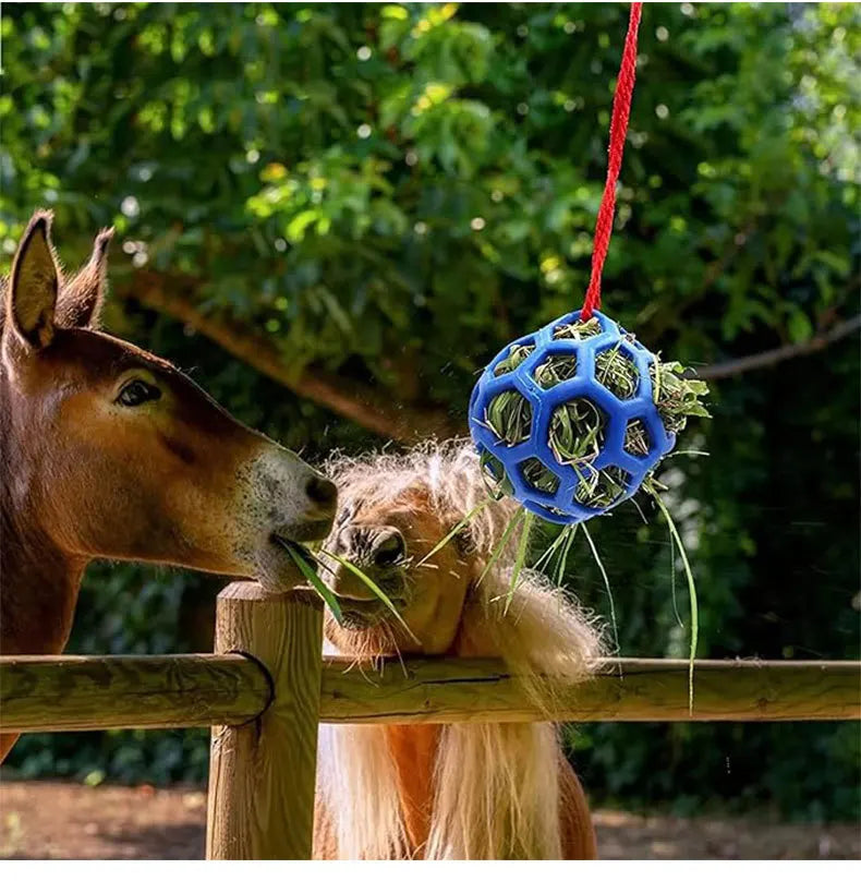 Horse Treat Ball Stables Hanging Hay Feeder Feeding Polo, Horse Care Ball 2-pack